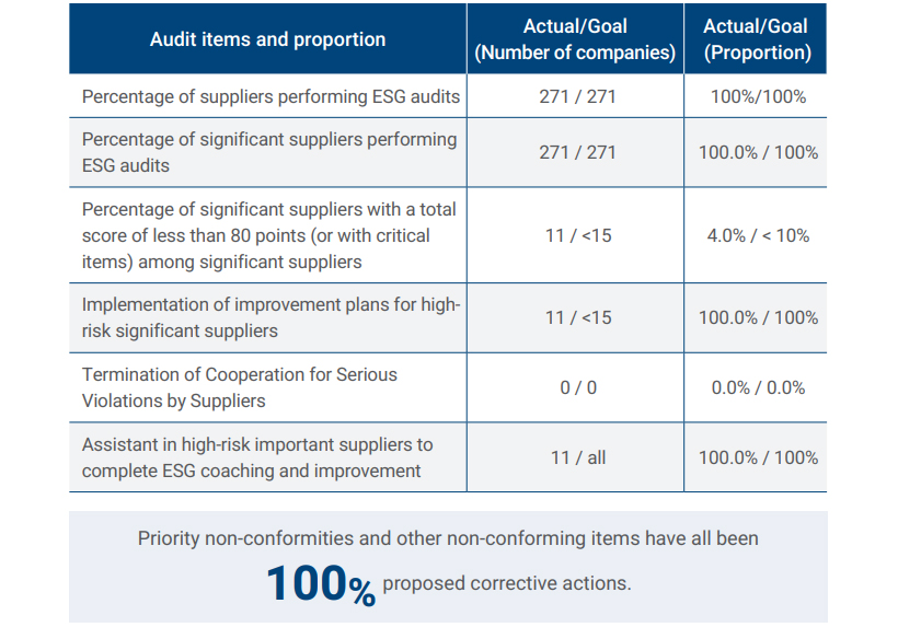 Sustainability Risk Audit Results