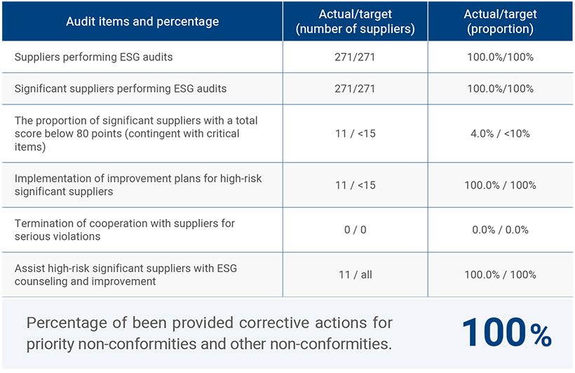 Sustainability Risk Audit Results